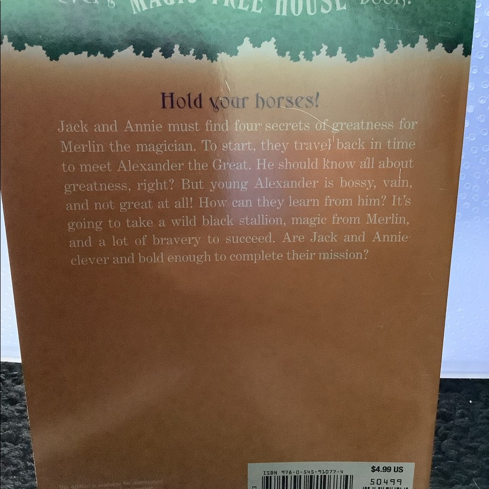 SELLING AS A BUNDLE* Magic treehouse books!